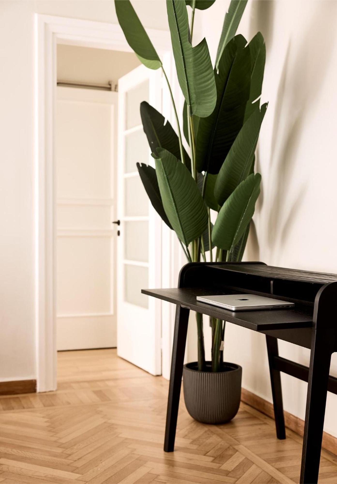 Lime Residences, Syntagma By Aura Homes Atene Camera foto